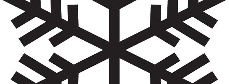 Organizer 166 snowflake 014