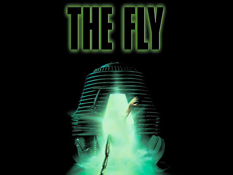 The fly